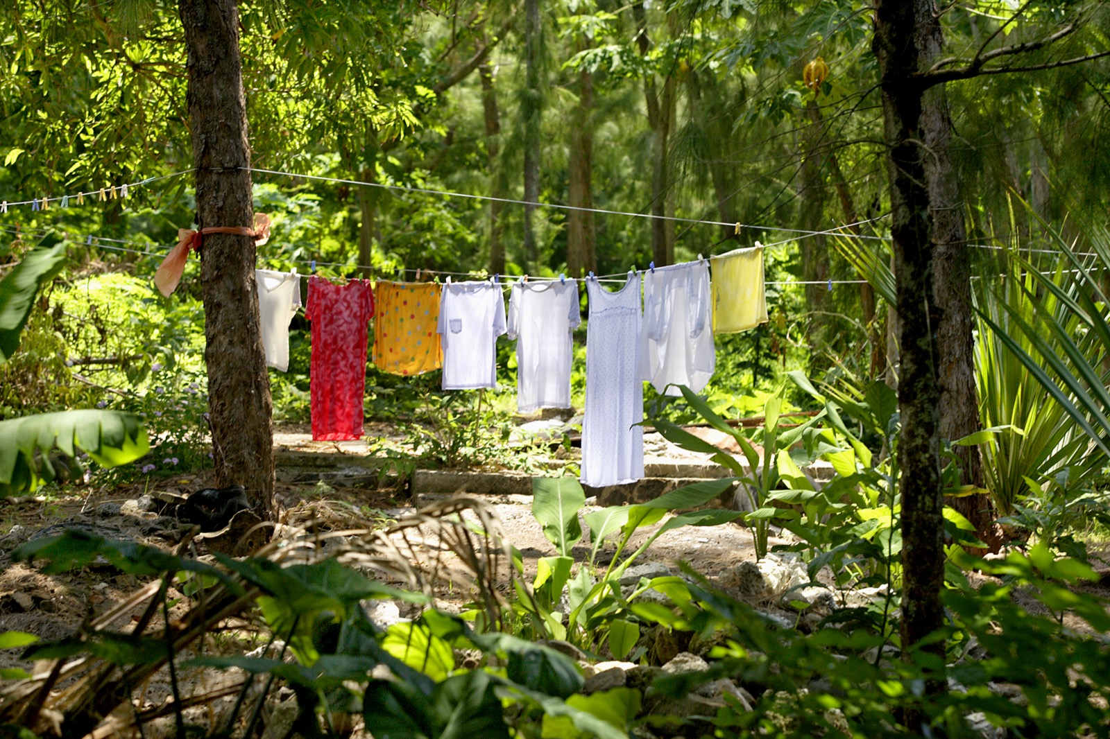 Linge coloré séchant sur un fil tendu entre les arbres d'un sous-bois tropical