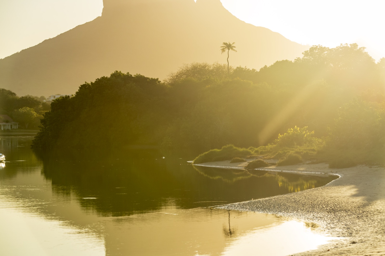 Lagune dorée au lever du soleil, silhouette d'une montagne et d'un palmier dans la brume